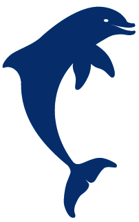 Dolphin_Splash_logo